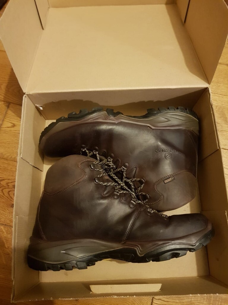 men's terra gtx walking boots